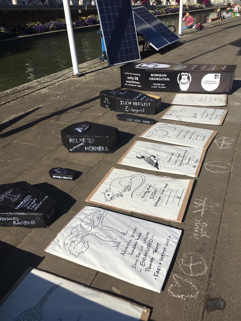 TetZoo's tweet photo. A bunch of the people at #bristolClimateStrike will be at #TetZooCon (19th &amp; 20th Oct, London), so we're gonna talk global change and climate crisis there too. Book at: https://t.co/Dkp9p9Bzgf https://t.co/wnjjE5yzXy