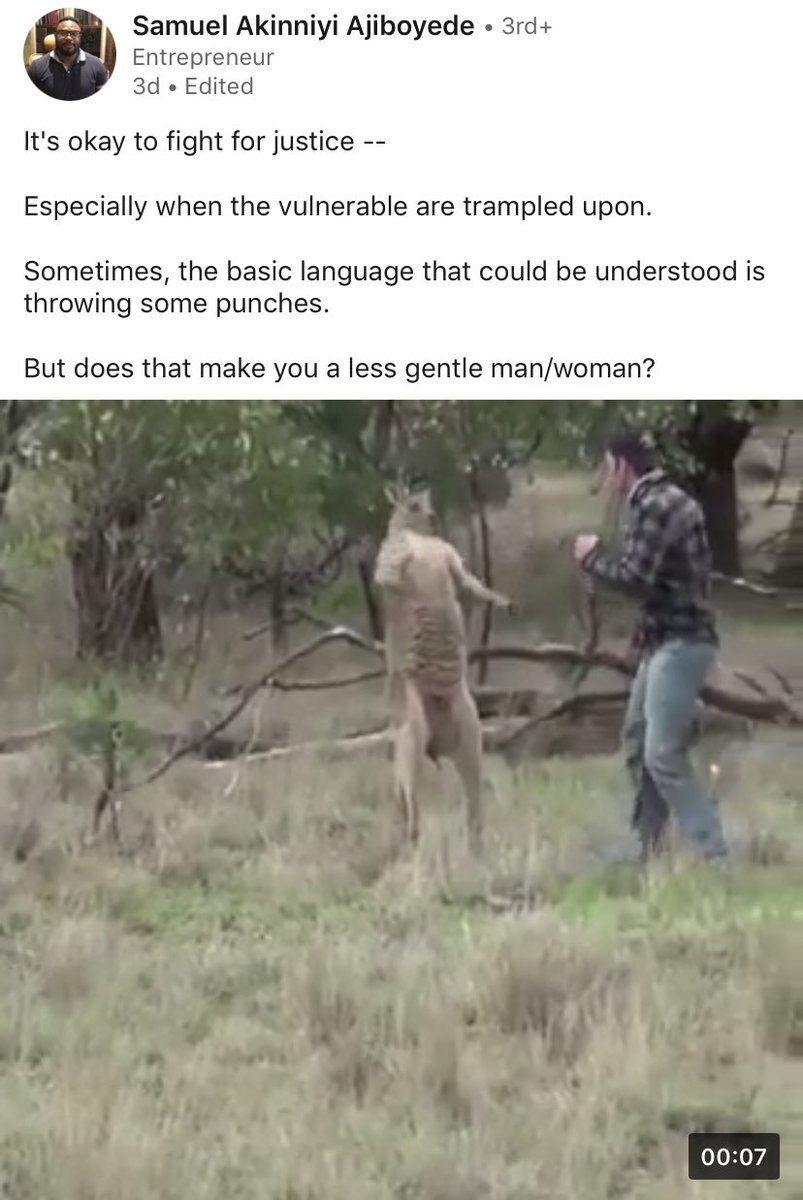 LinkedIn turning a video of a guy punching a kangaroo into a motivational message. Such a weird place.