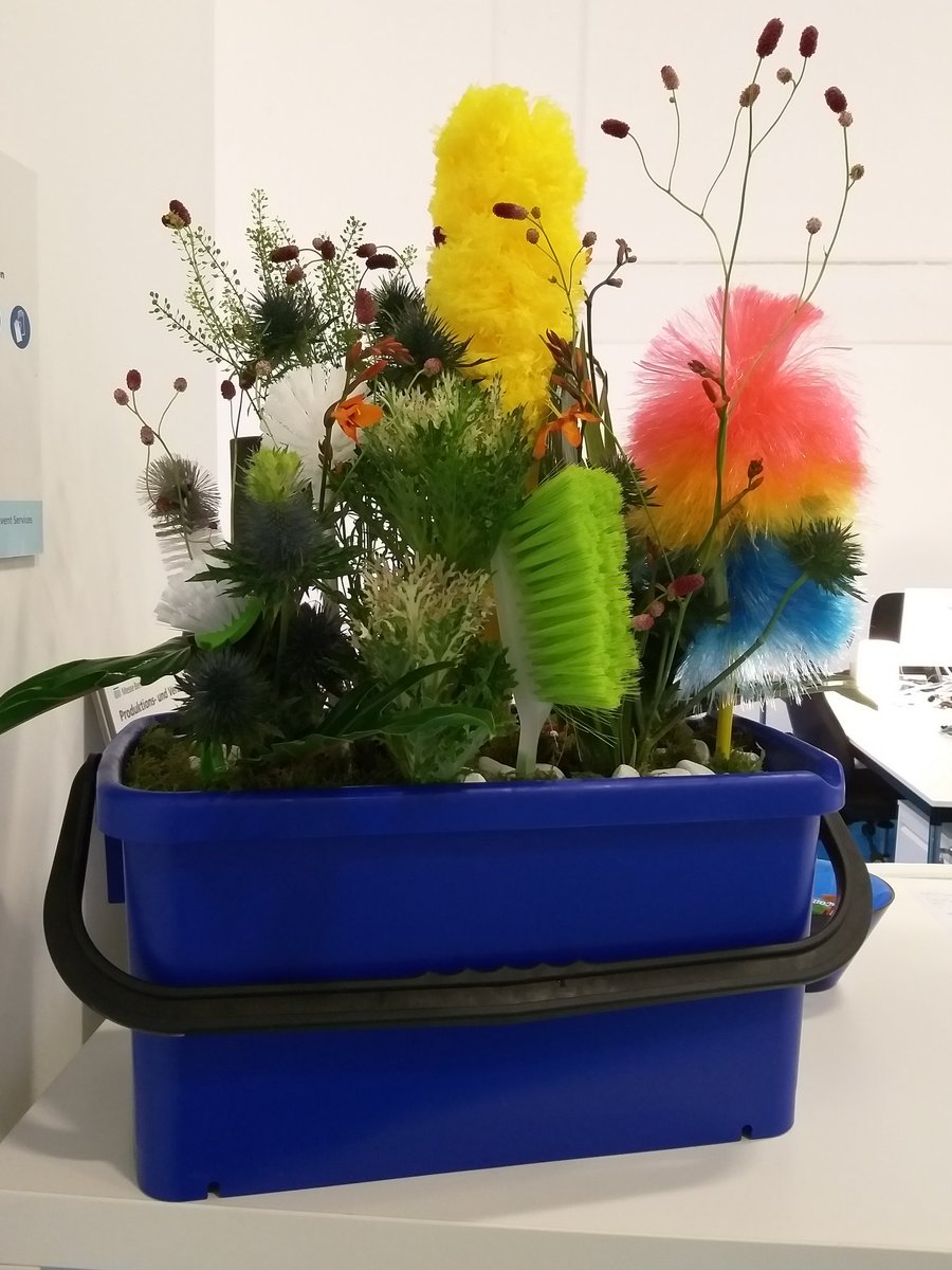 CMS_Berlin's tweet photo. Nutzpflanzen sehen bei uns so aus! Pflegeleicht, gut für's Wohlbefinden, nachhaltig und fördern den wachsenden Glanz in jedem Raum. #Glanz #Reinigung #sauber #hygiene #Hausputz #cms19 #Blumendeko #Staub #Feger #Staubwedel https://t.co/MPYmUDXTwg