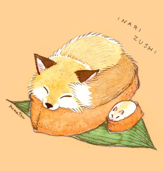 油揚げの寝袋で寝るキツネ 
