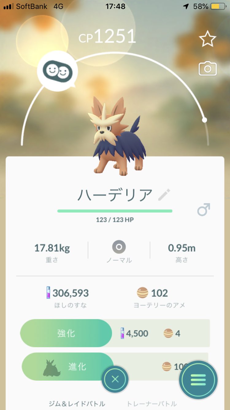 あゆ ハーデリアちゃんが可愛すぎるから進化させるかめちゃ迷う 笑 ポケモンgo ハーデリア かわいい シュナウザーみたい また飴ちゃん貯めればいいか T Co I2hhudroiu Twitter