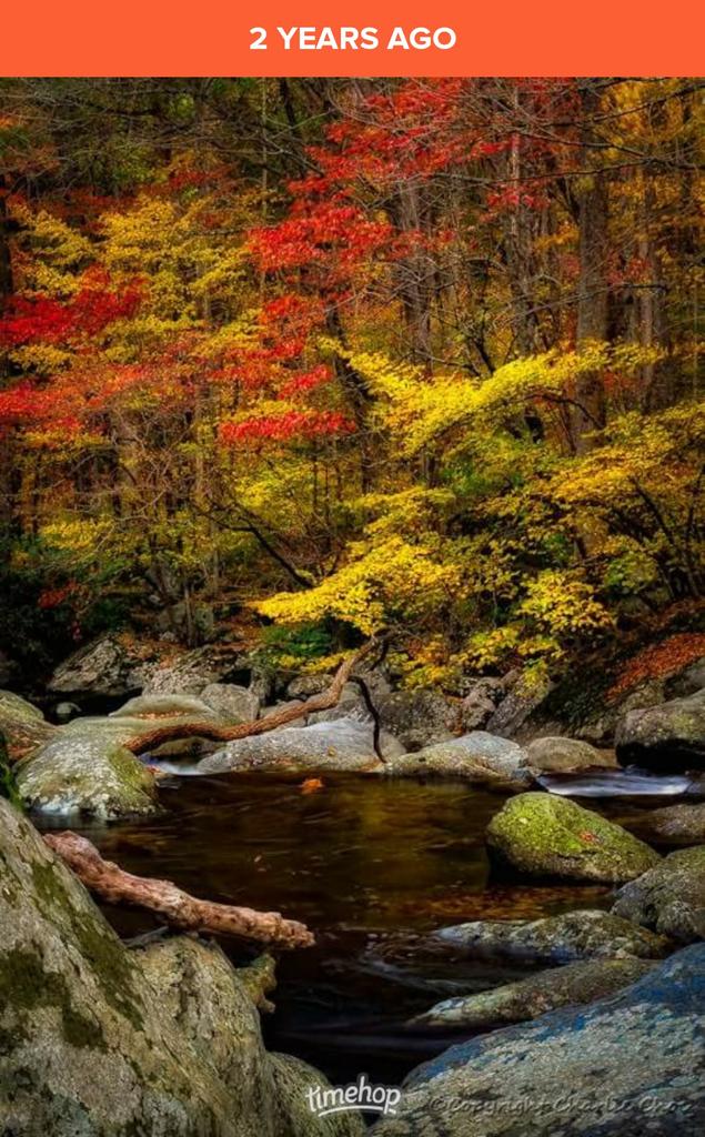 DBFrisk2001's tweet image. Beautiful, and very colourful! 😀 #FallColorPalette #Greenbriar #GreatSmokyMountainsNationalPark