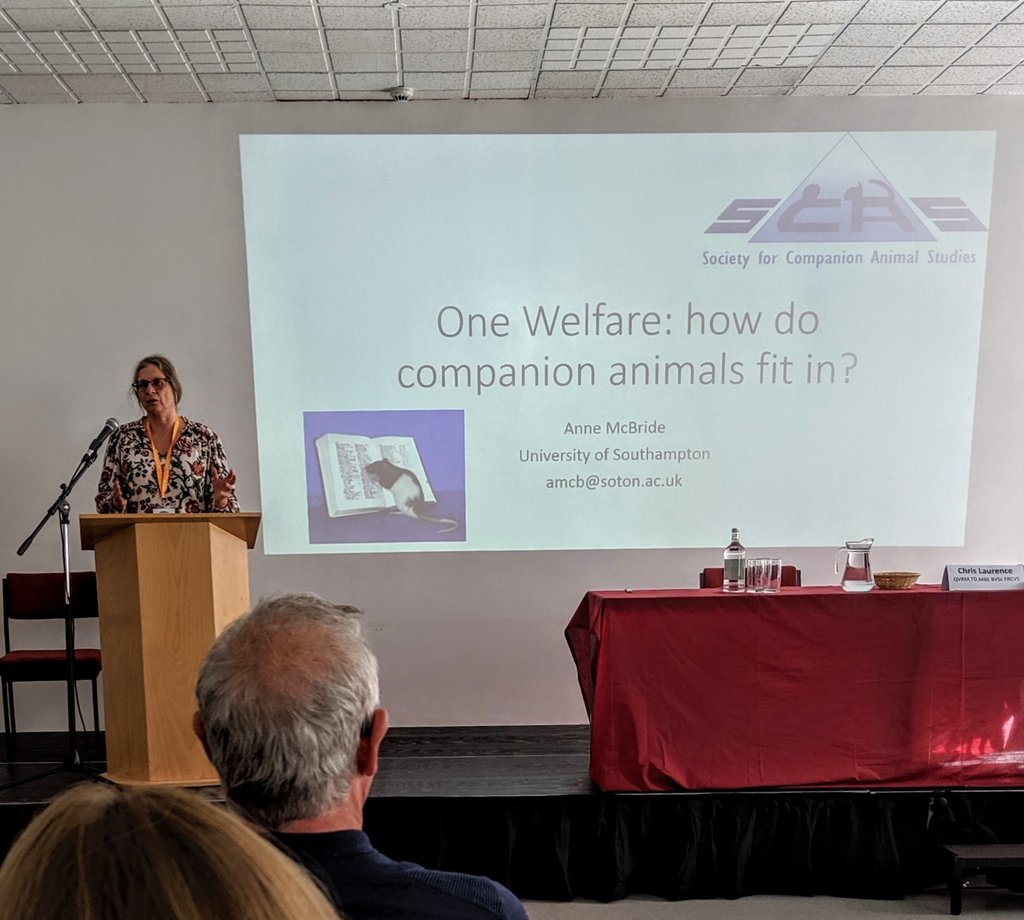 alice_oven's tweet photo. Anne McBride always gives the most rational, uncompromising presentations and this talk on #OneWelfare was no exception! #packingapunch #companionanimalwelfare #animalwelfare #scas https://t.co/SMVXOFUhWC