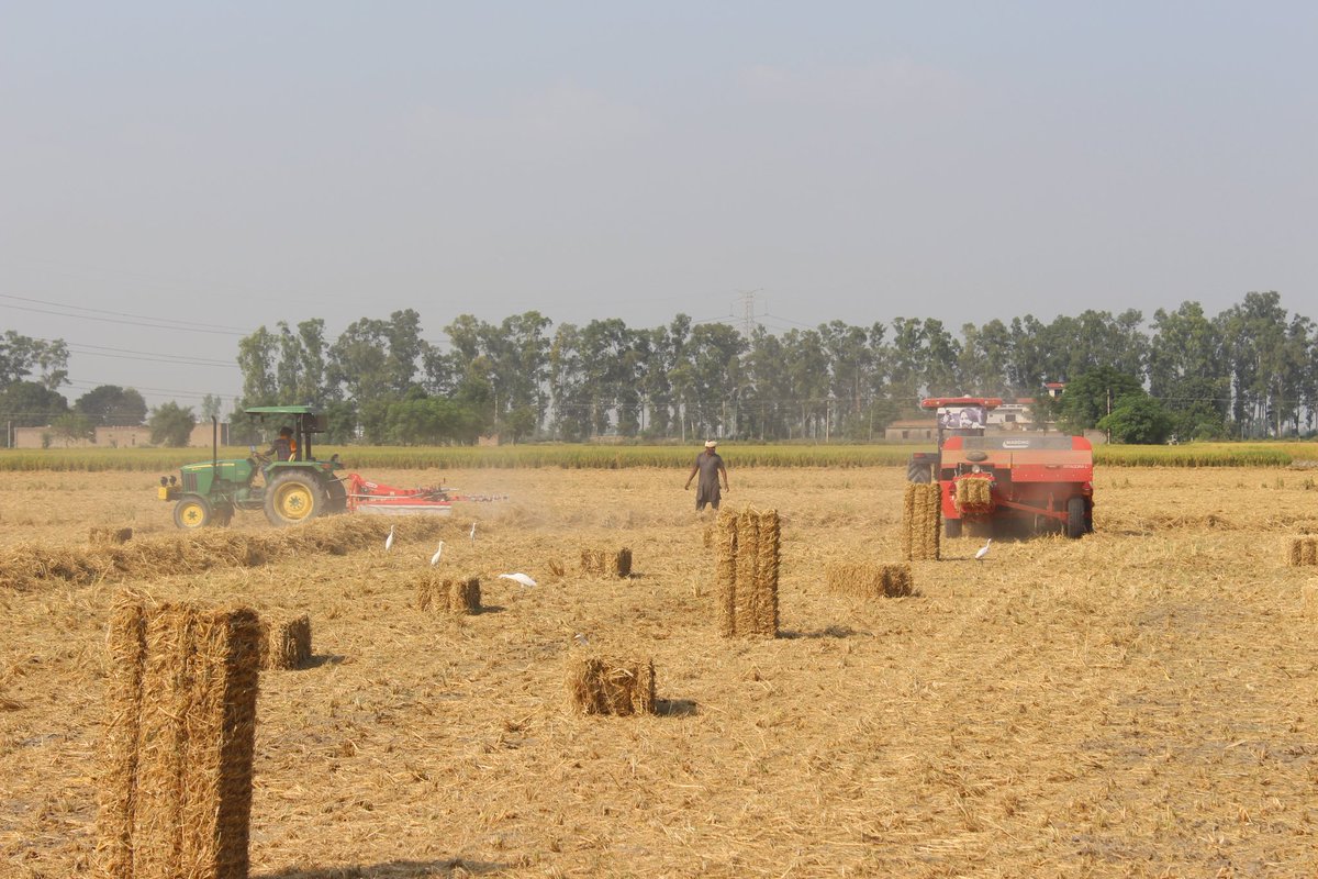 PSCST_GoP's tweet image. To promote gainful utilization of paddy straw, @PSCST_GoP with support from @moefcc demonstrated first-of-its-kind paddy straw based briquetting technology at Moga, Punjab.  #innovation #paddystraw @IndiaDST @punjabGovtIndia @deccpunjab @NITIAayog @mnreindia @PrinSciAdvGoI