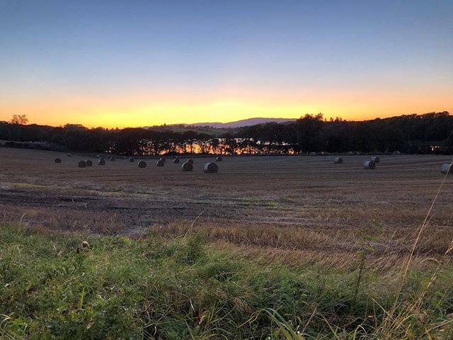 JanPatience's tweet image. Season of mists and mellow fruitfulness, Close bosom -friend of the maturing sun
.
.
.
#autumninscotland #fieldsofgold #whatanightitwas ift.tt/2If7Cvs