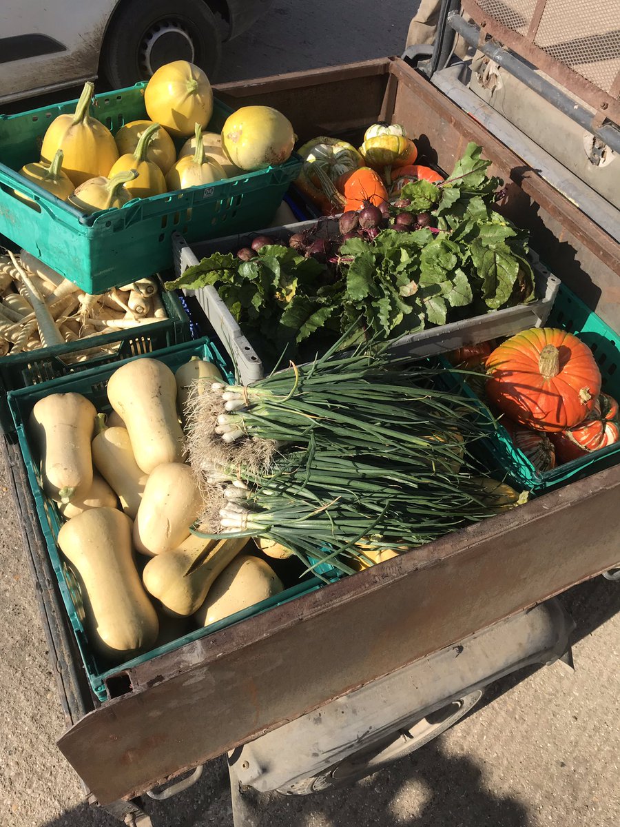 The_Sunnyfields's tweet image. This mornings pick - harvest festival time