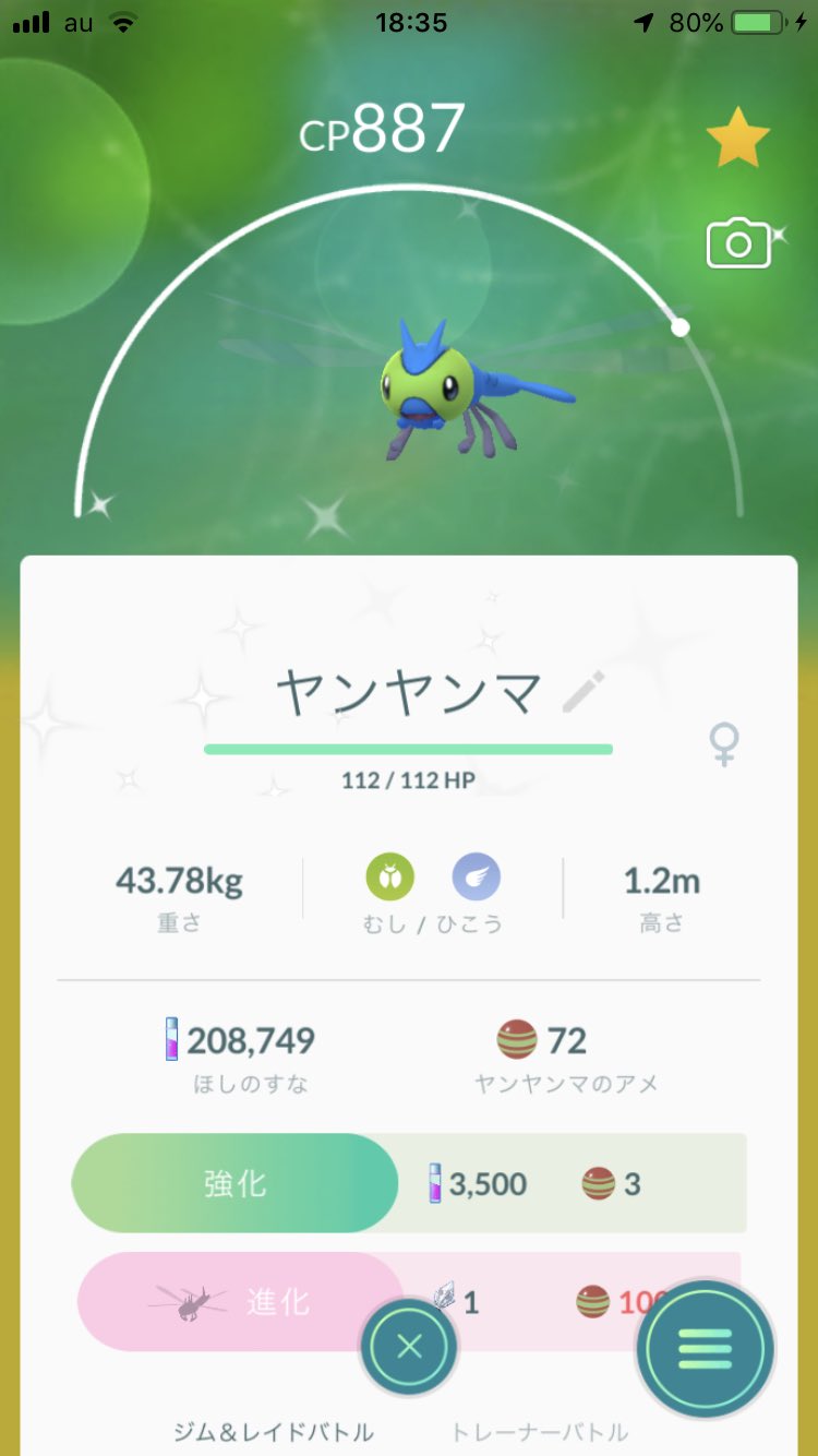 あまね ヤンヤンマ色違いゲットだぜー T Co Sho555voku Twitter あまね ヤンヤンマ色違いゲットだぜー T Co Sho555voku Twitter