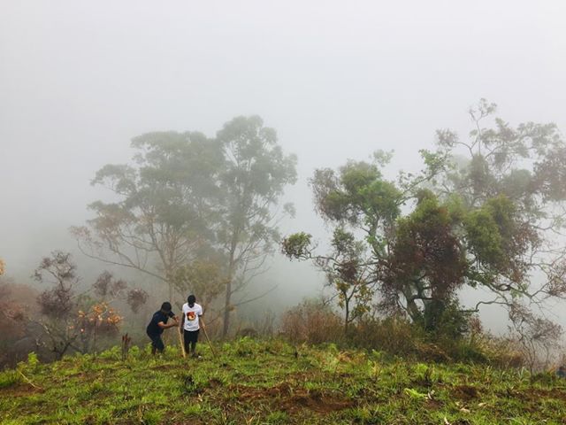 ellasrilanka's tweet image. Job Well Done ❤️ Keep Up Guys! #ellasrilanka #ellarock #SriLanka 

ඊයේ දින (සැප් 20) මොරටුව විශ්ව විද්‍යාලයේ ලියෝ සමාජයෙන් ඇල්ල ප්‍රදේශයේ ගිනි අරන් විනාස වුන ස්ථානයේ පැල 100ක් ඉන්දුවා. - ඇල්ල ප්‍රාදේශීය ලේකම් හා ප්‍රාදේශීය වනජීවි කාර්‍යාලයේ සහයෝගය මත.. ❤️🙏