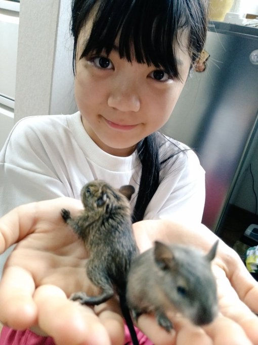 Twitterのコスプレ画像48