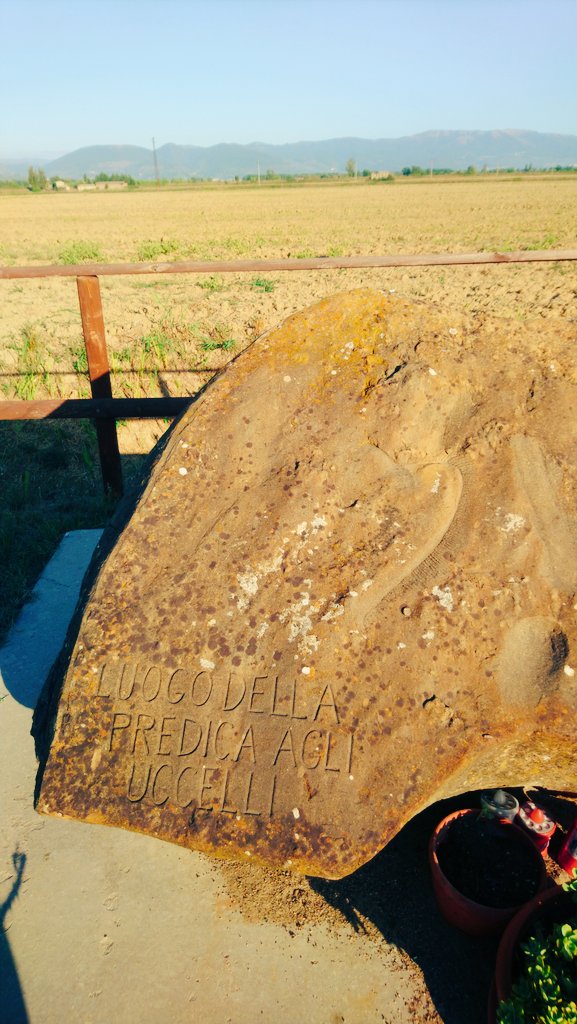 ☄️Claudio Pace 平和 和平 tweet media