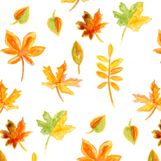 WovenMonkey's tweet photo. Your next fabric purchase could be just a click away, we have over 6000 designs to choose from. We've picked 3 here, to reflect the slight chill in the air this #SaturdayMorning - search "Autumn" to find more >> 
https://t.co/hfNbCPUYVn 
#AutumnIsComing #customfabric #Autumn https://t.co/ww5cbcg9Sm