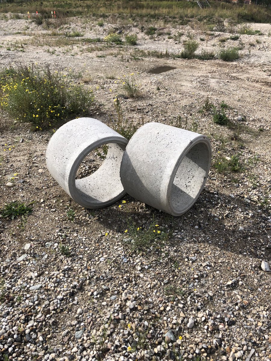 Mr Bingo 𓄚 tweet media