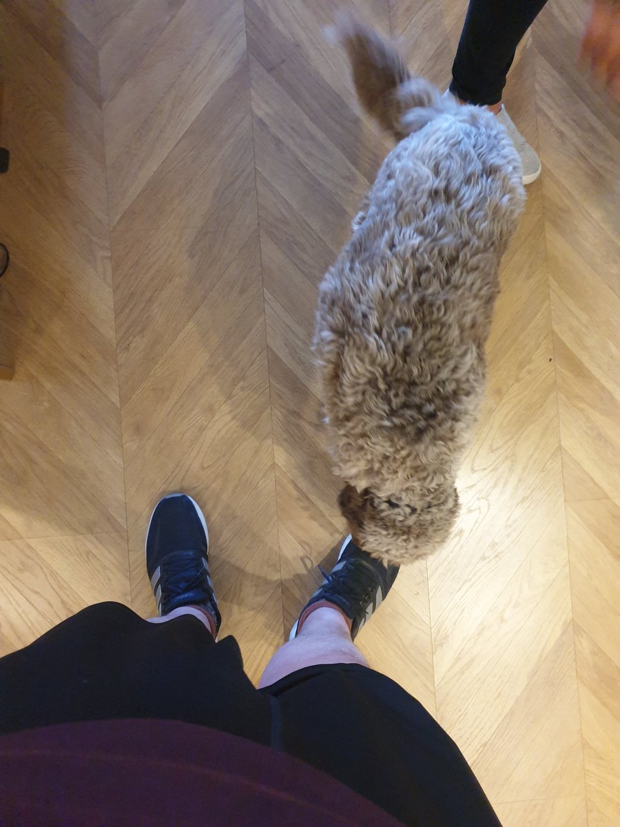 Had an hour free this afternoon and got a bat regripped with <a href="/mandhcricket/">Millichamp & Hall</a>, bonus dog called Paddington!