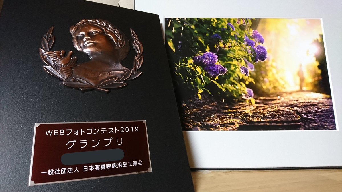 shumin8573's tweet photo. 某フォトコンのグランプリに選んでもらいました✨ありがとうございます🙇

フォトイベントCP+2020 での展示

2020年版の写真・映像年鑑にも掲載してくれるそうで、楽しみに待っております☺️

賞金ありがたや～念願のカメラ２台持ちいけるよ❗

#ファインダー越しの私の世界
#写真好きな人と繋がりたい https://t.co/LhC8vxJtLf