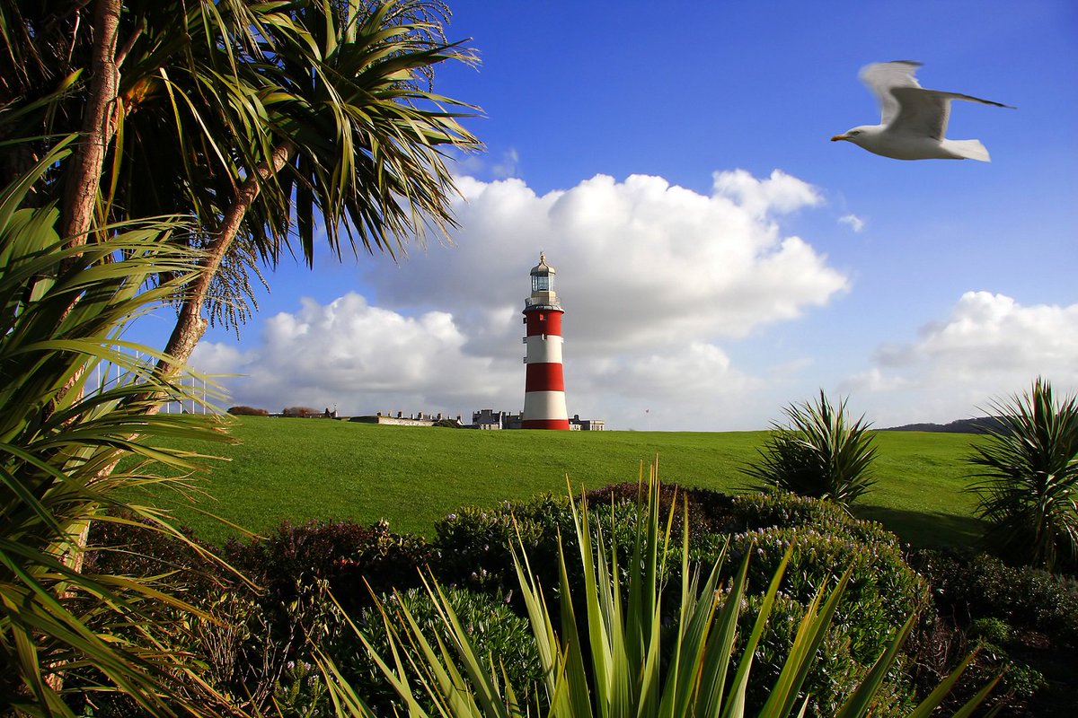 Plymouth Museums (@plymouthmuseum) on Twitter photo If you're visiting #Plymouth Hoe tomorrow you can enjoy free admission to <a href="/SmeatonsTower/">Smeaton's Tower</a> for Heritage Open Days. The lighthouse is open from 10am-5pm. Last entries at 4.30pm. Enjoy! If you're visiting #Plymouth Hoe tomorrow you can enjoy free admission to <a href="/SmeatonsTower/">Smeaton's Tower</a> for Heritage Open Days. The lighthouse is open from 10am-5pm. Last entries at 4.30pm. Enjoy!