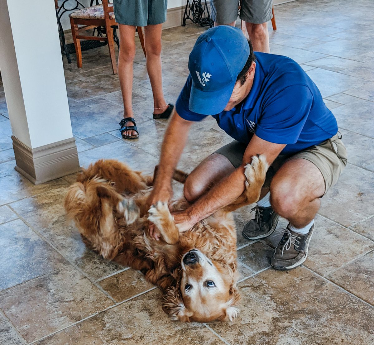 We have a special place in our hearts for our furry friends, and can't wait to welcome them this weekend! Are you joining us for the @goldenrescuecanada picnic? Make sure you share all the furry fun with us! 

#goldenrescue #kawarthas #goldens