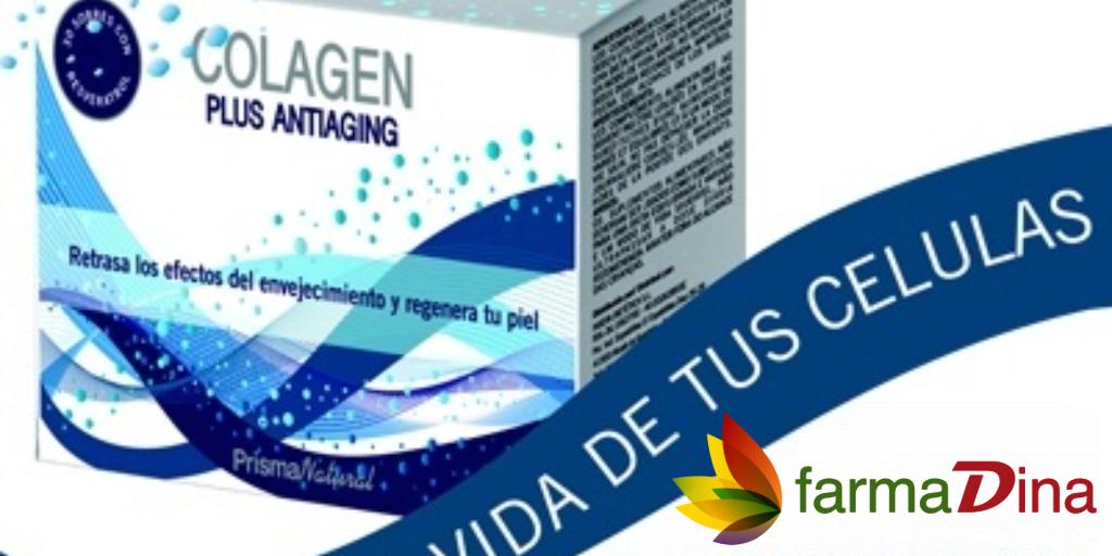 farmaDina1's tweet photo. #ColagenPlus de @Prisma_Natural
Retrasa los efectos del #envejecimiento y regenera la #piel, mantiendola tersa y sin #arrugas. #farmadina #colageno #flexiplus #daily #astromusc
Cómpralo en . https://t.co/m9J3fu7JIL 💚 💛 💜 💙 💗 💖 https://t.co/pmnXOKjrQS