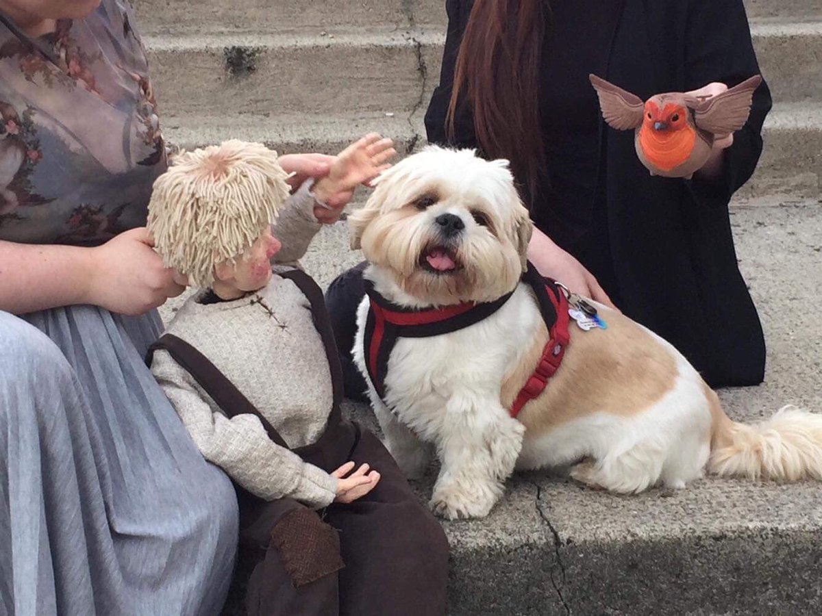 Animism Productions tweet media