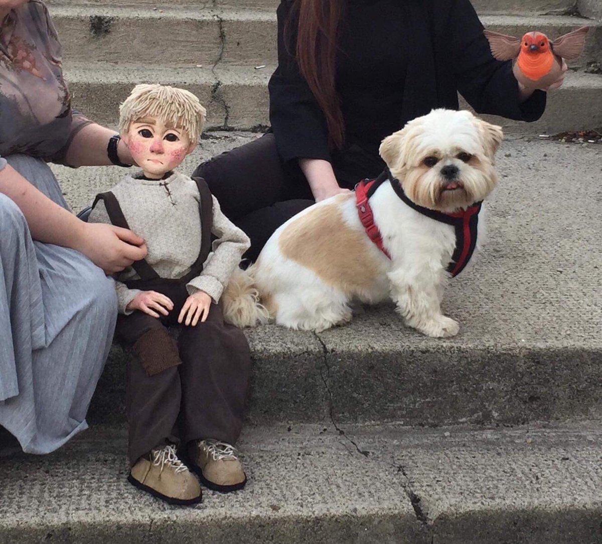 Animism Productions tweet media