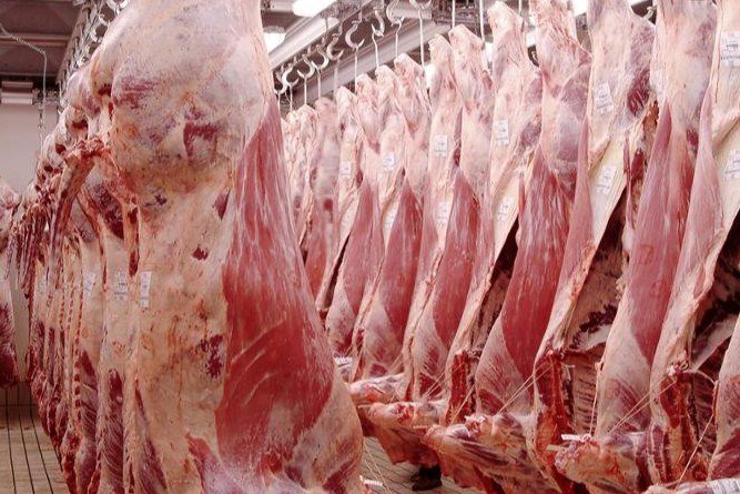 GelsenF's tweet photo. Premium Quality Beef Wholesale Suppliers China and HongKong - 优质牛肉批发供应商中国 - https://t.co/zcuigoVICZ

#BeefWholesaleSuppliers #PremiumQualityBeef #FrozenMeatTrimmingWholesale #FrozenBeefTrimmings #frozenbeefliver https://t.co/07YldBYpr9