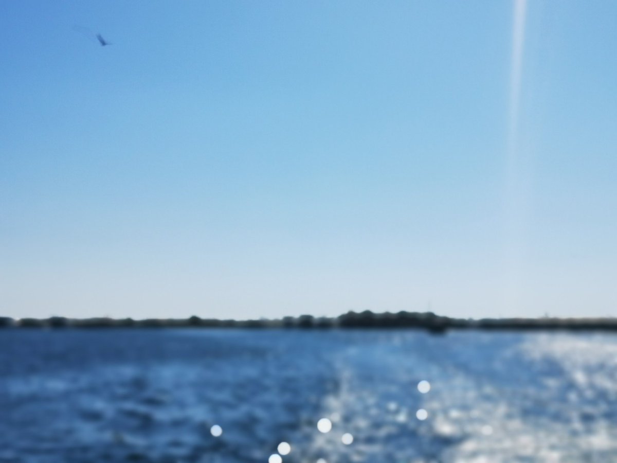 Sen bir deniz görürsün belki oturduğun yerden iç geçirirsin, ben çocukluğumu görürüm yıllar içinde yavaş yavaş değişen doğayı görürüm geride bıraktıklarımı düşünürüm 😎