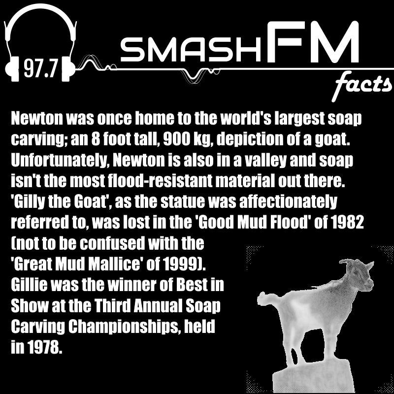 SmashFM_show's tweet photo. You guys'll be experts on Newton History before you even catch your first 'Matt and Matt in the Morning Morning Show".

#Radio #Sitcom #webseries #comedy #tv #Youtube #television #smalltown #smalltownstories #Canada #northernCanada #media #entertainment #art #indie https://t.co/xkkcwcW8Lz