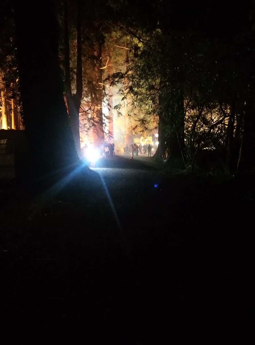 Another sneak peek from behind the scenes on location in Ireland, shooting for #JurassicWorld #BattleAtBigRock
This is my dream. To make it as an actor.
Or to be Greg once again. I still need an agent tho haha. It's not easy i tell you. #dreamscometrue