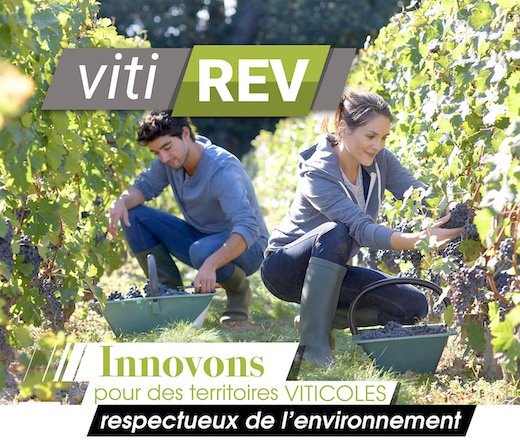 process2wine's tweet photo. Nous partageons l'allégresse de la Région Nouvelle Aquitaine pour le succès du projet VitiREV, dans lequel Ertus GROUP est partie prenante.
VitiREV "Innovons pour des territoires viticoles respectueux de l'environnement"
#vitirev #viticulture #process2wine #nouvelleaquitaine https://t.co/elD1sNpLj1