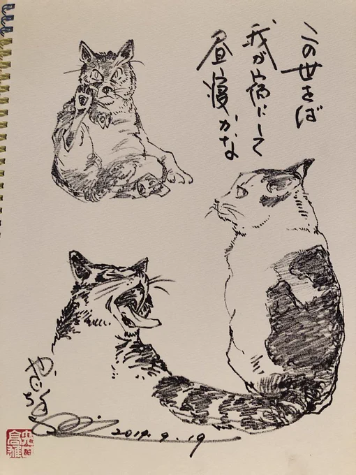 この世をば 我が宿にして 昼寝かな(高橋ナッコ)#矢口高雄 #cat #neko 