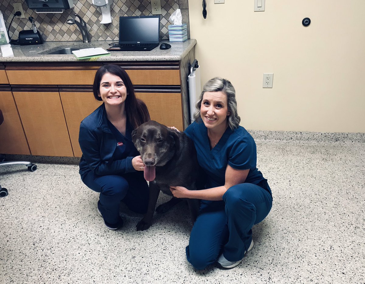 Good Luck today Ruger!!!  

Ruger is going in for knee surgery today! We are confident Metzger Animal Hospital will take good care of him!