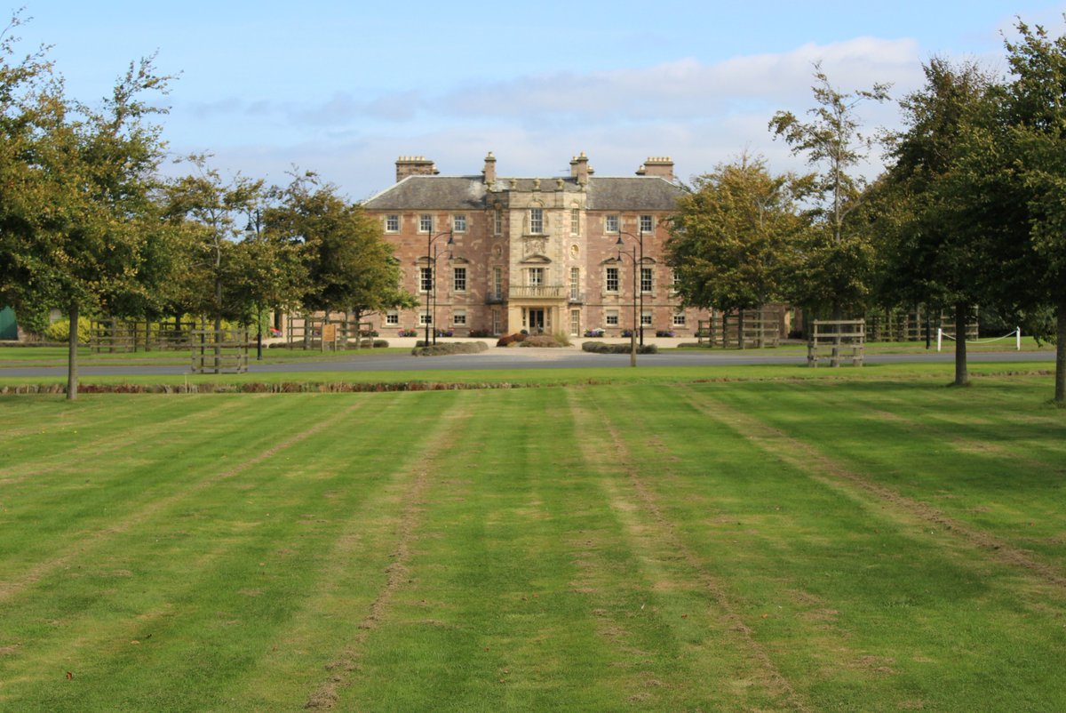 Archerfieldhse's tweet photo. We have come an awful long way in less than twenty years

Imagine what we can accomplish here at Archerfield in the next twenty! 😍

#ThrowbackThursday #ExcitingTimes #WePlayADifferentGame https://t.co/vvJAD3pZeV