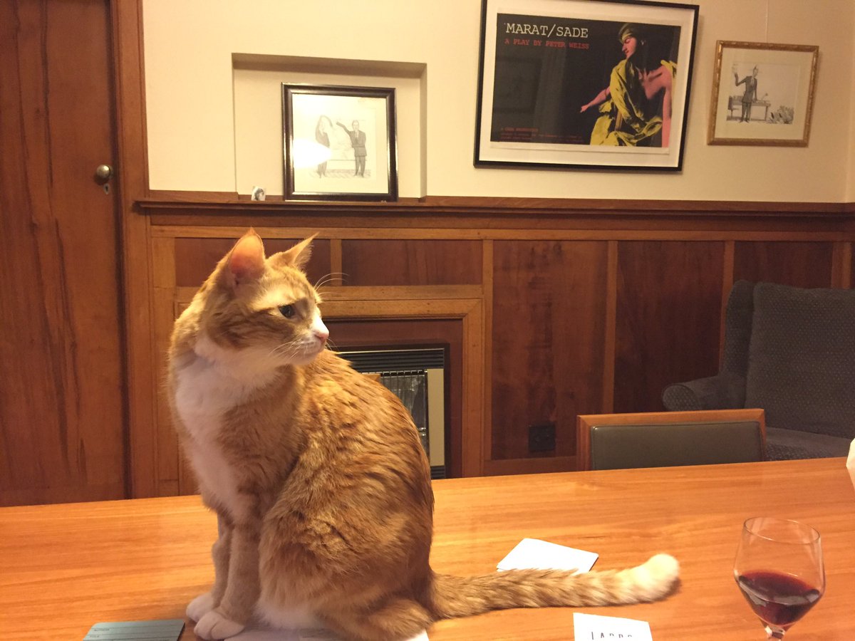 c_s_wallace's tweet photo. #Magnificat pitching in on the paperwork. #TediousTasks #CatsOfTwitter https://t.co/Uyhpg9kCny