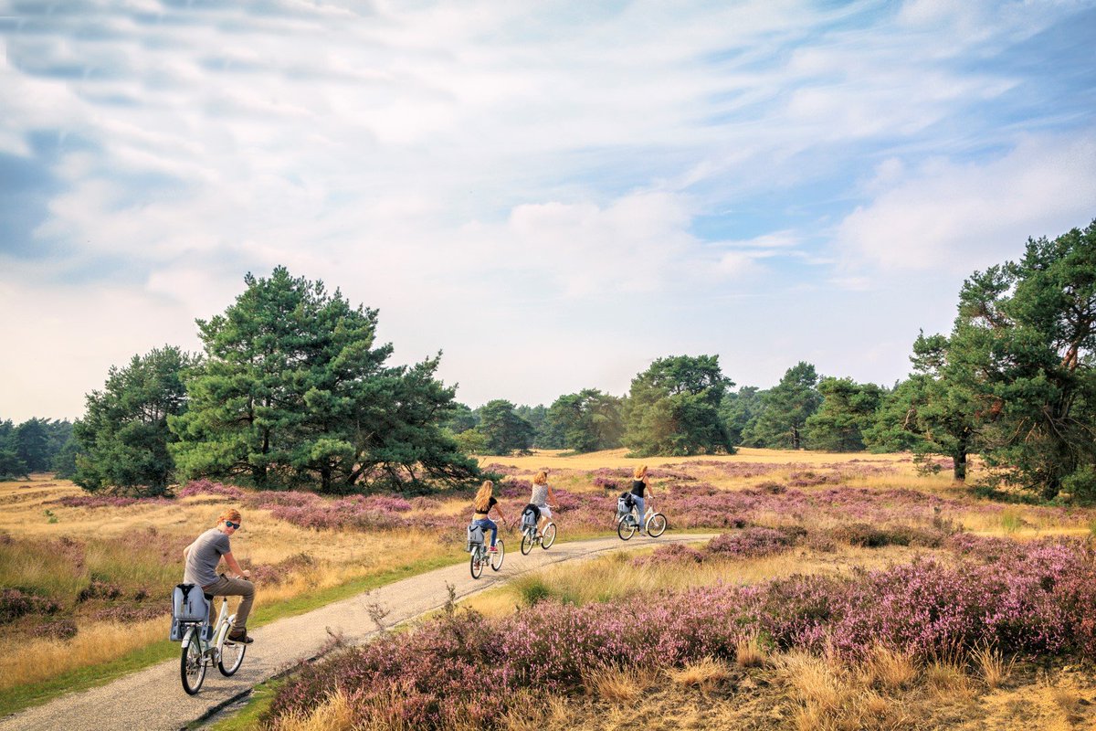 Wilt u een #vakantiewoning kopen op de Veluwe? Dan bent u bij TopParken aan het juiste adres. Bezoek dit #weekend onze open dagen op 3 vakantieparken op de Veluwe. Maak kennis met onze vakantiewoningen en ontdek de omgeving.

Meer informatie? Kijk op topparkenverkoop.nl/open-huis-dage…