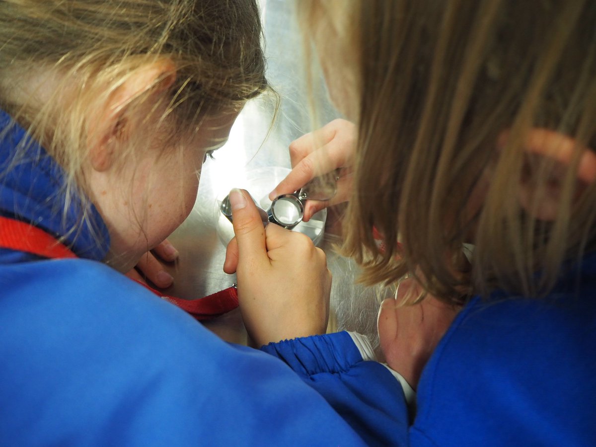 EarthScienceWA's tweet image. To round out this visit to Kalgoorlie thanks to the support of @MinResWA, we visited the Year 4 &amp;amp; 5 classes at North Kalgoorlie Primary. These super scientists did some chemical tests on rocks to find out which one farmers could use to improve crops in their ancient soils.