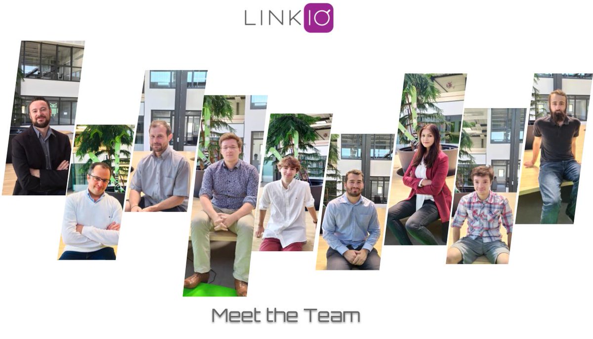 The LinkIO Team!