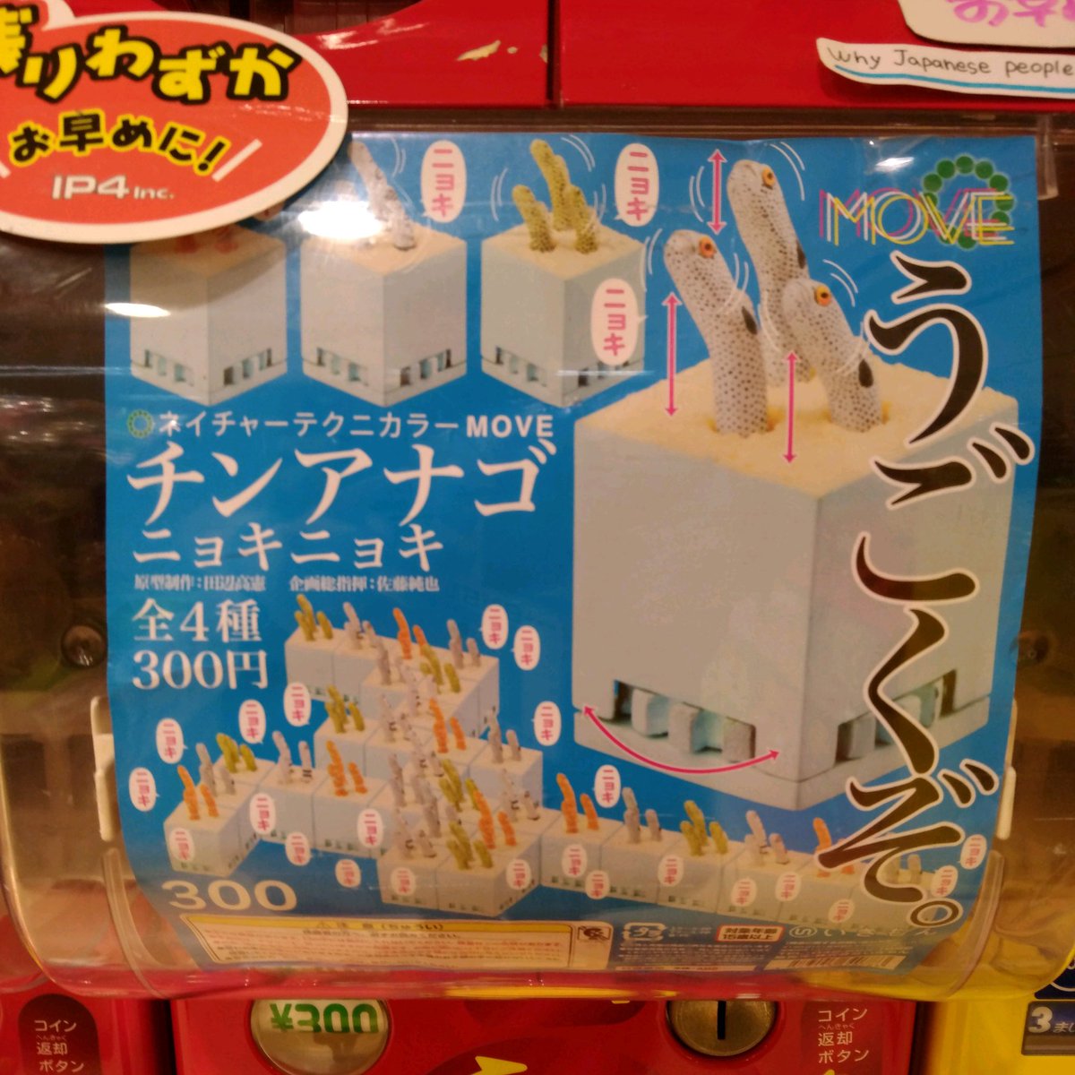 無料印刷可能チンアナゴ ガチャガチャ すべての魚の画像 無料印刷可能チンアナゴ ガチャガチャ すべての魚の画像