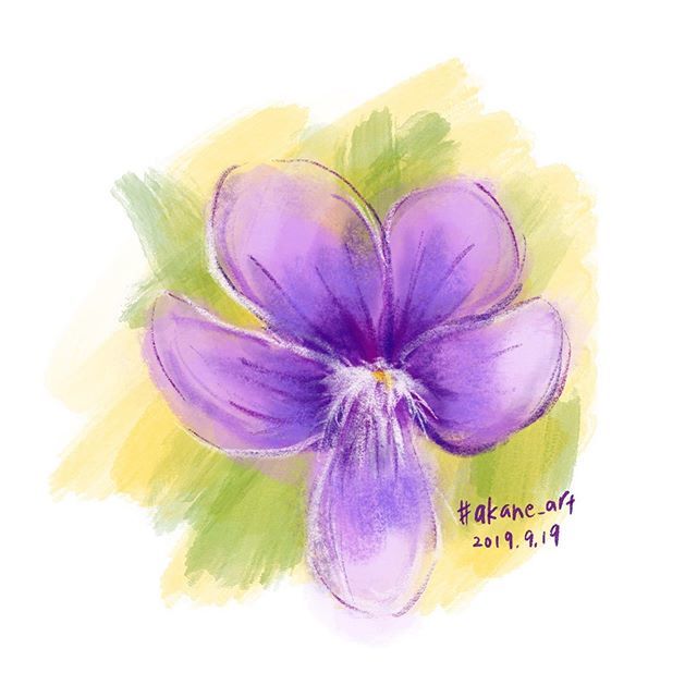 Akane Art Viola Mandshurica スミレ Violet Violamandshurica 花 菫 野草 山野草 Flower Akane Art イラスト Illustration Drawing Art Painting Procreate 一日一絵 Onesktchaday Onedrawingaday 365drawings T Co