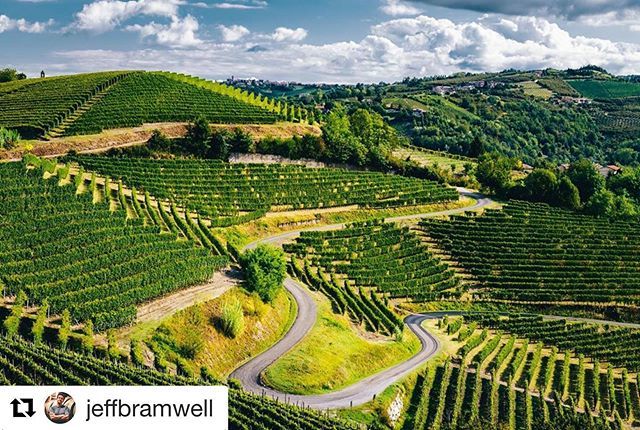 BaroloCastles tweet media