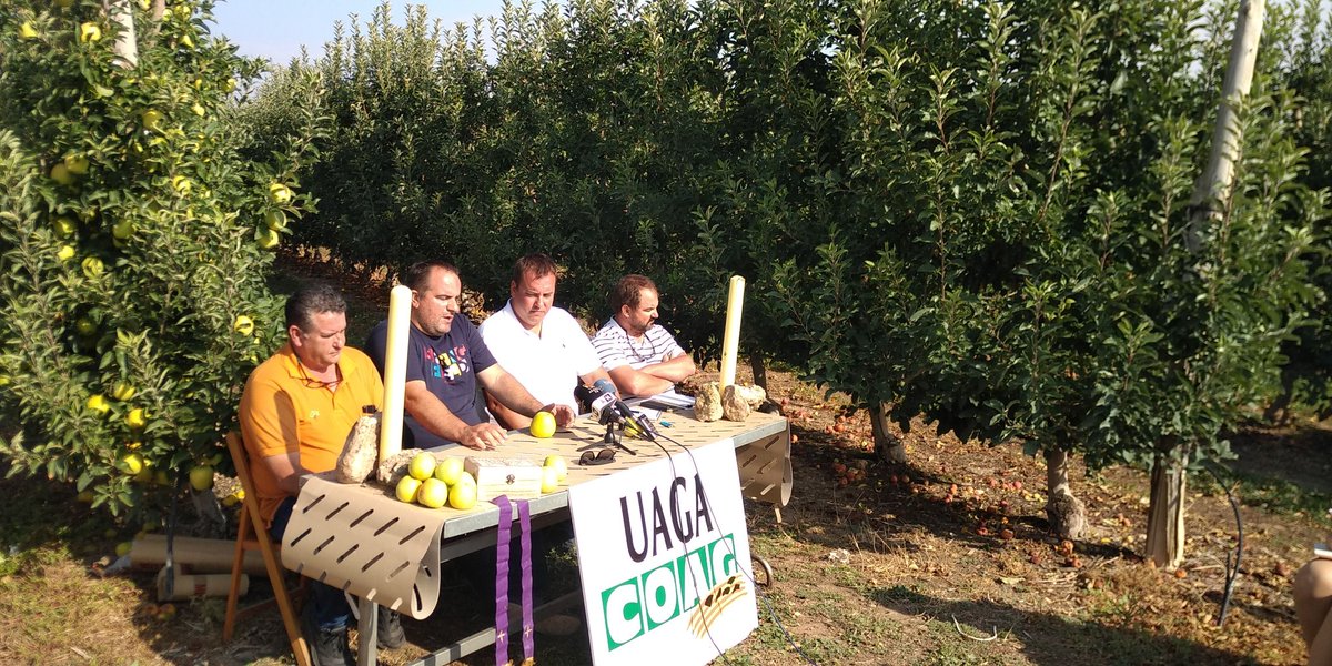Francisponce42's tweet photo. El 19 de octubre todos a las calles de Calatayud para luchar por la supervivencia del sector frutícola y de la agricultura y ganadería en general!! https://t.co/LMpQvKXEDP