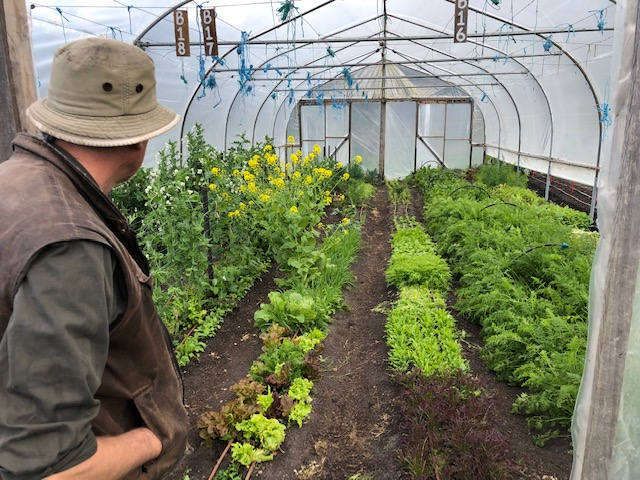 AusHCSriLanka's tweet photo. Learning from Matthew and Sadie at Fat Pig Farm in #Tasmania about the importance of knowing where your food comes from, sustainable food production and soil health. #yourambassadors #gourmetfarmer #freerange #fatpigfarm #sbsfood #discovertasmania 🇦🇺 https://t.co/azpi5rwBMI