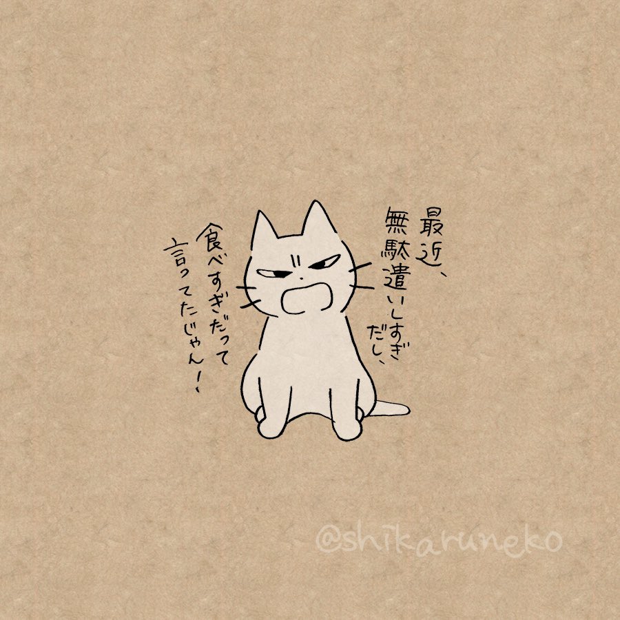 やたらと買い食いしてしまう人を叱ってくれる猫 