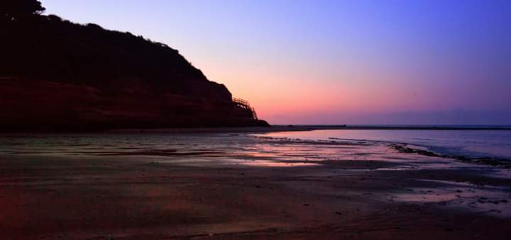 John Thorogood tweet media