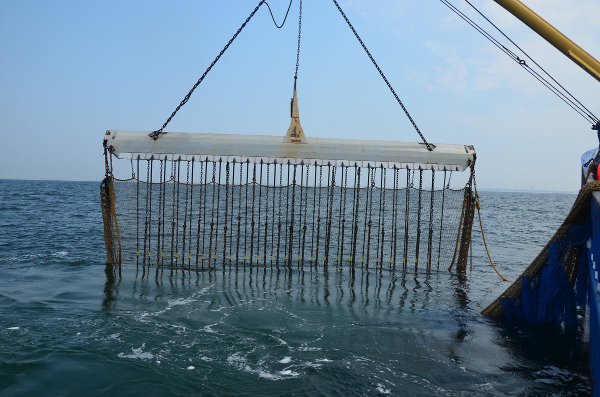 Bloom_FR's tweet photo. #ElectricFishing: The Netherlands do not comply with the new regulation by keeping 42 licences against the 15 authorised:
- overestimation of the 5% threshold,
- excuse of scientific research.
BLOOM files new complaint &amp; expects probity from @EU_MARE
➡ https://t.co/Q9Isnrog9i https://t.co/p3rWsntej4