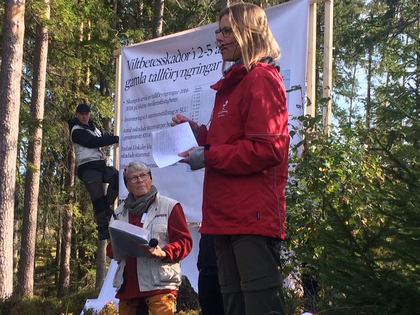 skogssverige's tweet photo. Annika Felton, SLU, Alnarp. - Hjortdjur: Àlg, rÄdjur m.fl. Viktiga foderarter minskar. Prioritera vissa arter/biotoper? Vad Àter Àlgarna pÄ vintern? Hittade 44 vÀxtarter dÀr tallen dominerade. 26% lingon o blÄbÀr.
#hex19 https://t.co/ARnSNPbI5l