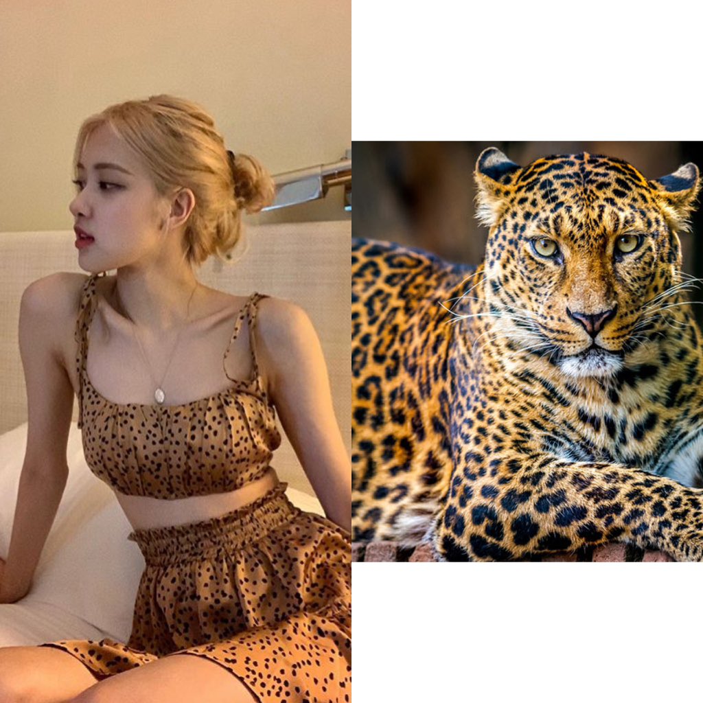 MindMyRosie's tweet image. ผึ้ง🐝 เสือ🐅🐆ม้าลาย มากันครบเลยจ้าแม่จ๊า ถามจริงนี่ยกโขยงมาทั้งสวนสัตว์เลยมั้ยอ่ะ555แม่ไม่อ่อนโยนอีกต่อไป//แม่ดุแค่ไหนหนูก็ไหว😘🤤 
#ROSÉ #BLACKPINK @ygofficialblink