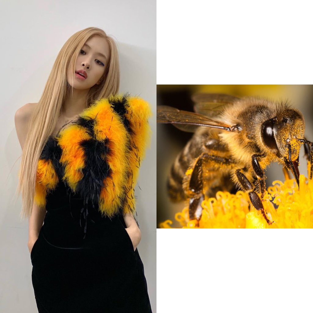 MindMyRosie's tweet image. ผึ้ง🐝 เสือ🐅🐆ม้าลาย มากันครบเลยจ้าแม่จ๊า ถามจริงนี่ยกโขยงมาทั้งสวนสัตว์เลยมั้ยอ่ะ555แม่ไม่อ่อนโยนอีกต่อไป//แม่ดุแค่ไหนหนูก็ไหว😘🤤 
#ROSÉ #BLACKPINK @ygofficialblink