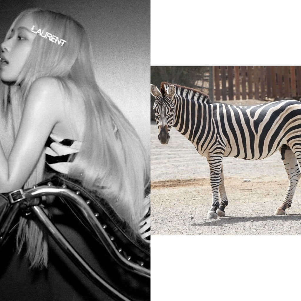 MindMyRosie's tweet image. ผึ้ง🐝 เสือ🐅🐆ม้าลาย มากันครบเลยจ้าแม่จ๊า ถามจริงนี่ยกโขยงมาทั้งสวนสัตว์เลยมั้ยอ่ะ555แม่ไม่อ่อนโยนอีกต่อไป//แม่ดุแค่ไหนหนูก็ไหว😘🤤 
#ROSÉ #BLACKPINK @ygofficialblink