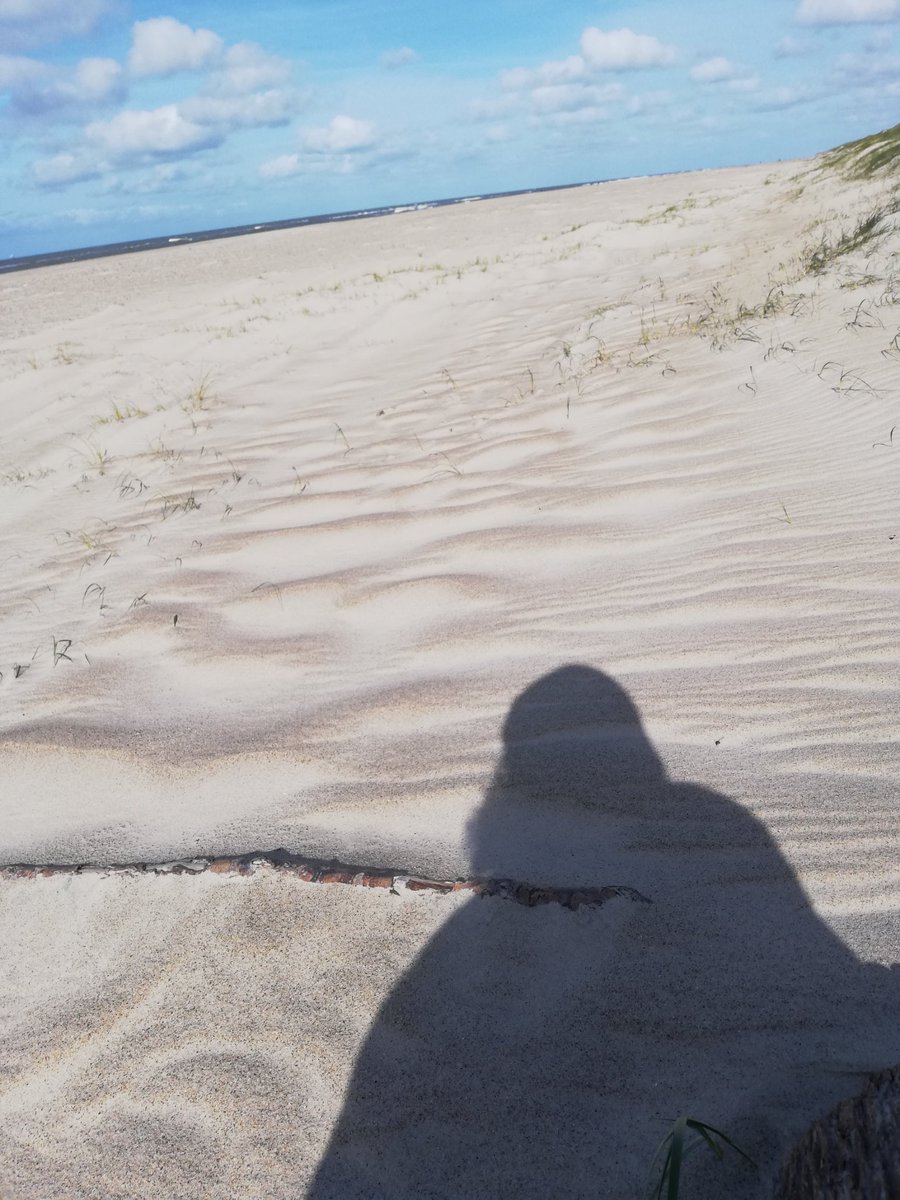 JennyJedoch's tweet photo. Total heißes #strandbild
#urlaub und #twoff und so https://t.co/QynFtffdl3