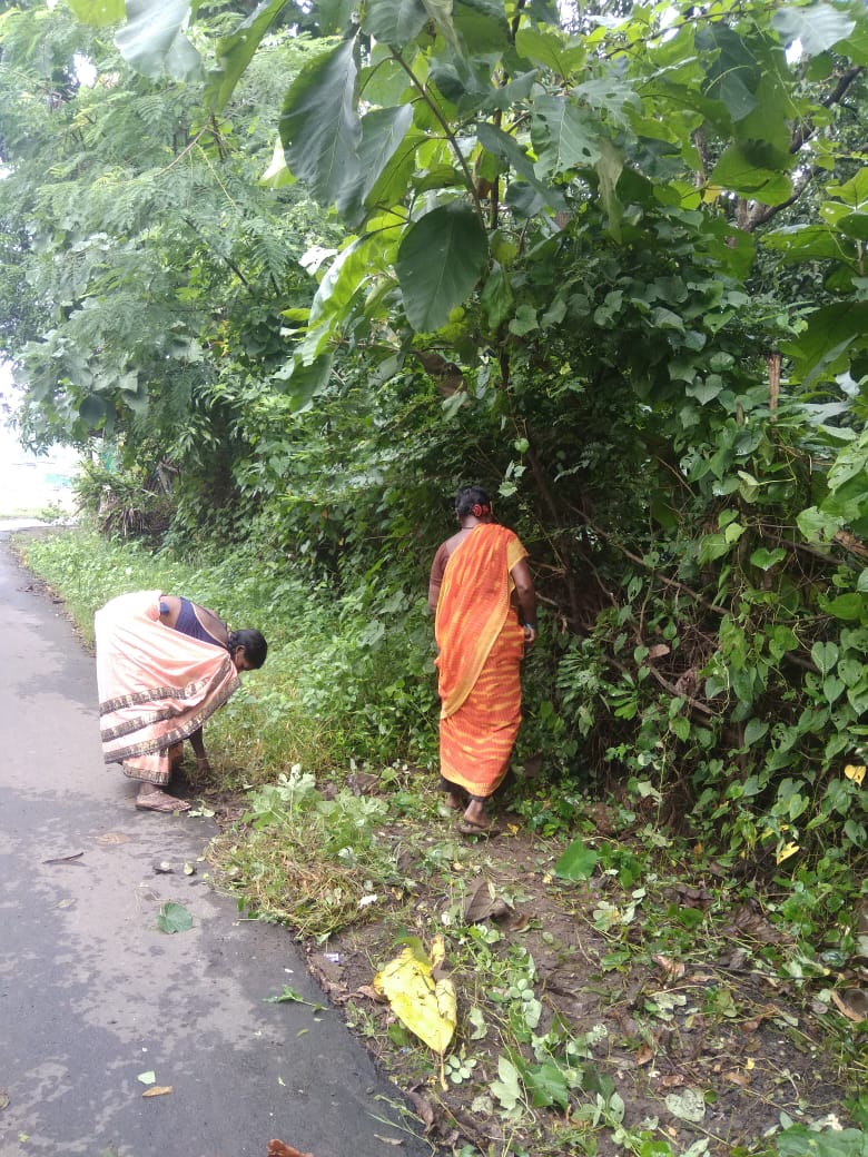 Pariyari Group Gram Panchayat tweet media