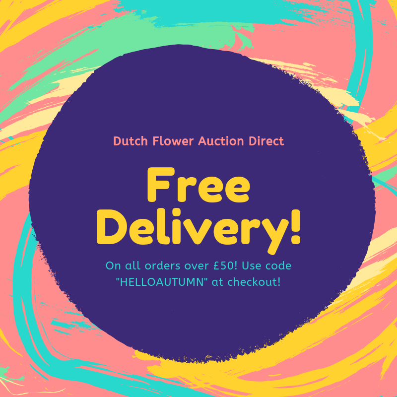 DutchFlowerAD's tweet photo. FREE DELIVERY on all orders over £50! This week only so be quick! Enter code "HELLOAUTUMN" at checkout! https://t.co/ls9E0MCzhR 🎉 https://t.co/9MRqeWs2yv